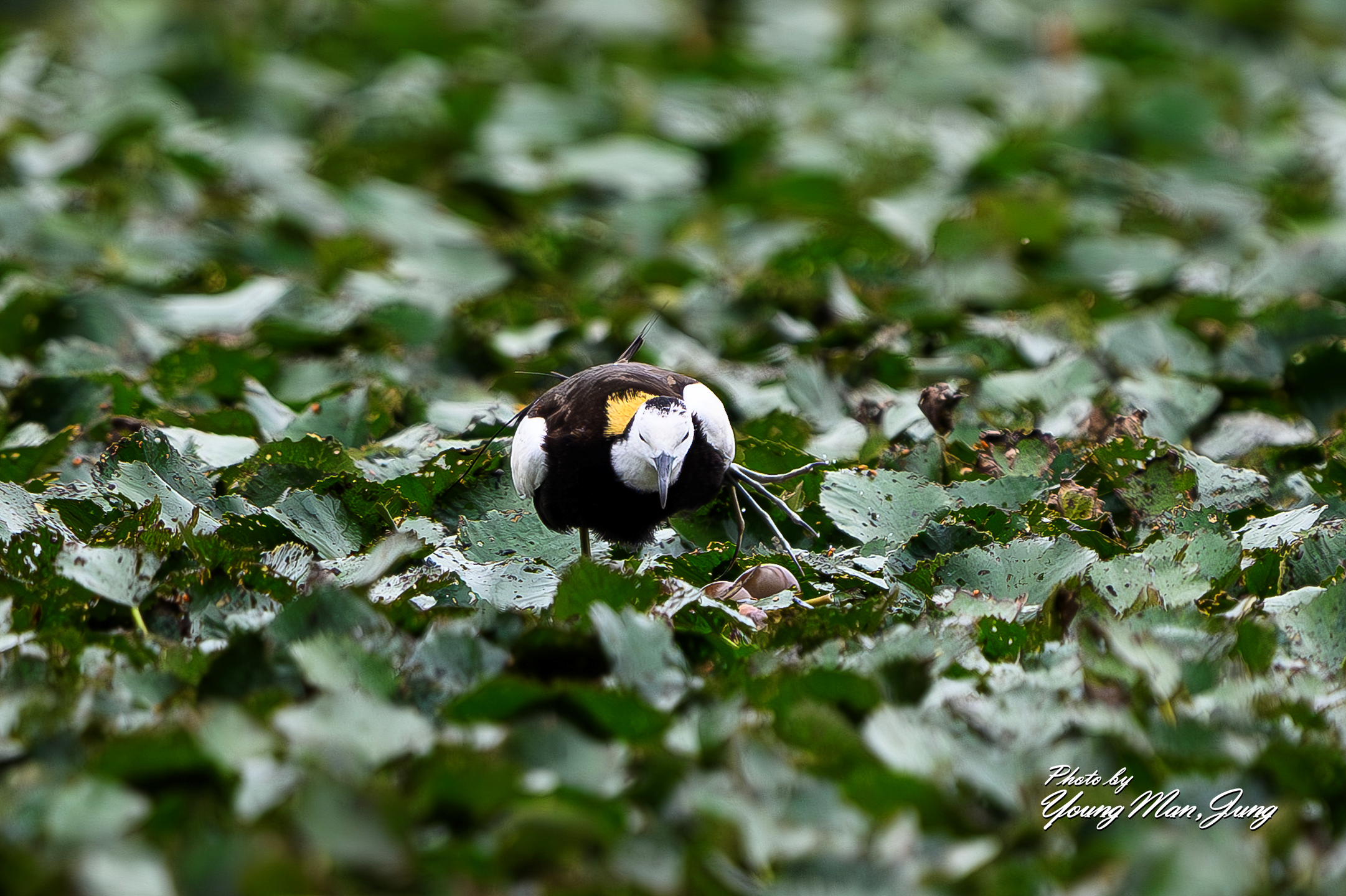   | PHOTO BY : 카파/정영만  |