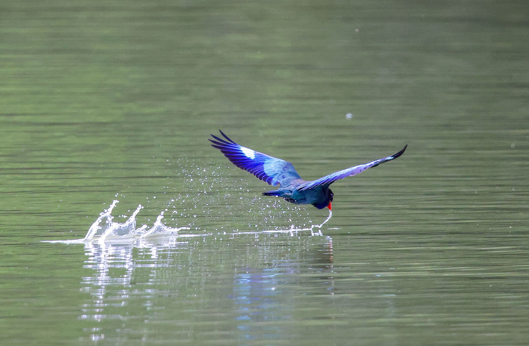 | PHOTO BY : 조현래  |