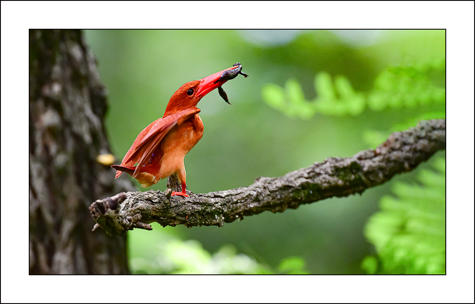 | PHOTO BY : 삿갓/정봉식  |