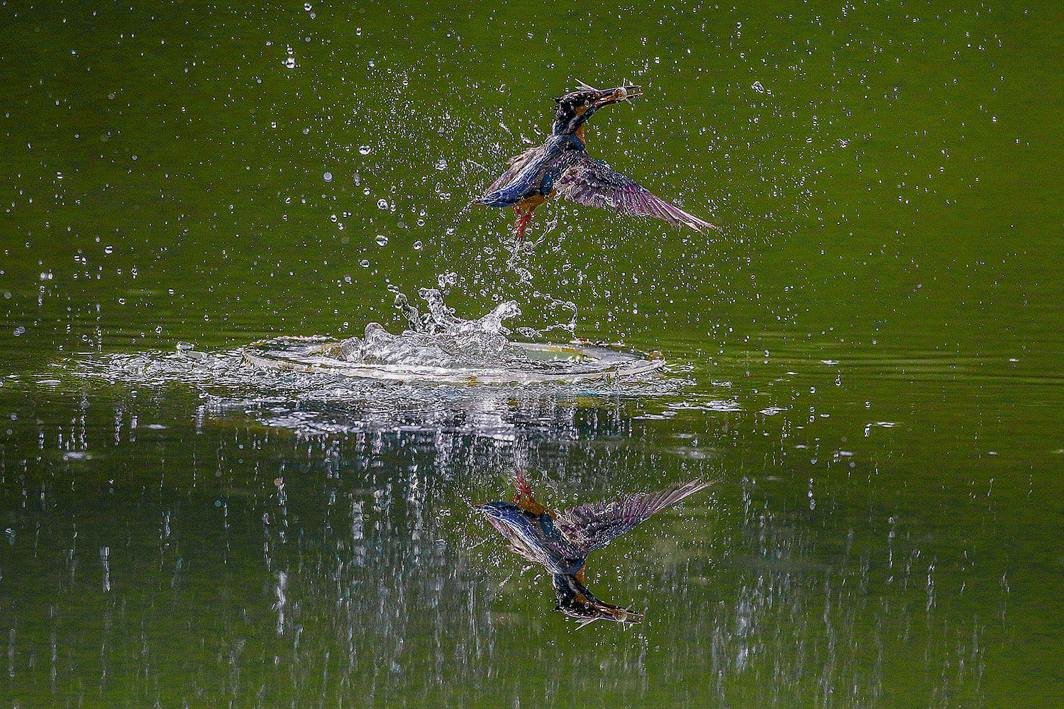 PHOTO BY  | CanonCanon |  | ISO- |  |  |  | EV=0 | ● WIDTH:  HEIGHT: