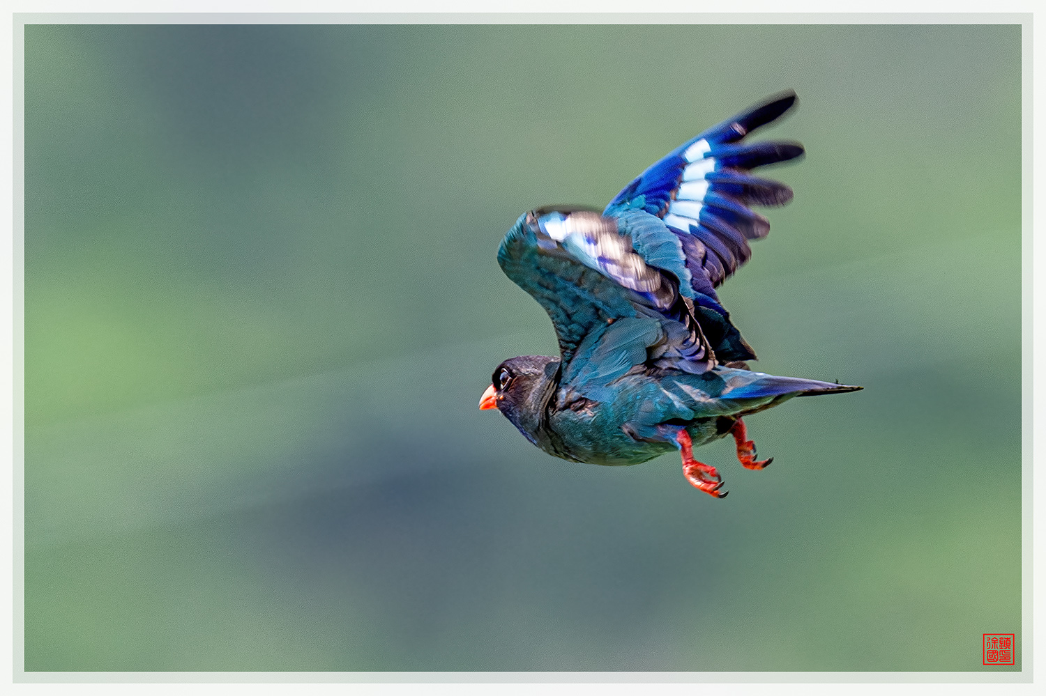 PHOTO BY  | NIKON Z 9 | 2024:07:13 10:55:08 | ISO-1100 | 1/2000 sec | f 5.6 | 600 mm | EV=0.7 | ● WIDTH:1500 pixels  HEIGHT:999 pixels