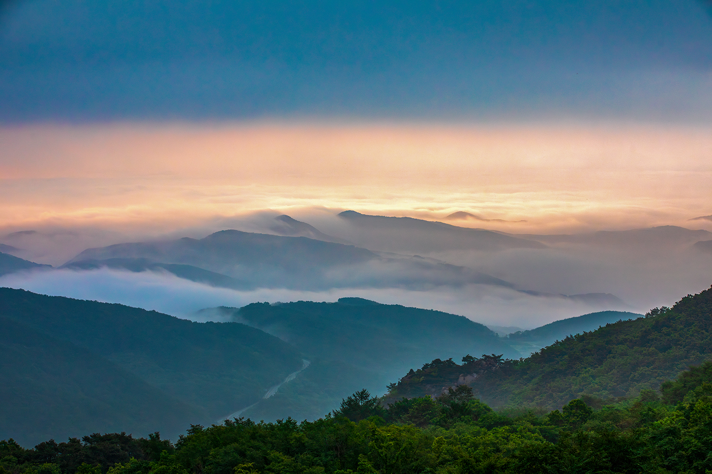 PHOTO BY  | Canon EOS 5D Mark IV | 2024:07:13 06:11:50 | ISO-400 | 1/640 sec | f 8 | 88 mm | EV=0 | ● WIDTH:1400 pixels  HEIGHT:933 pixels