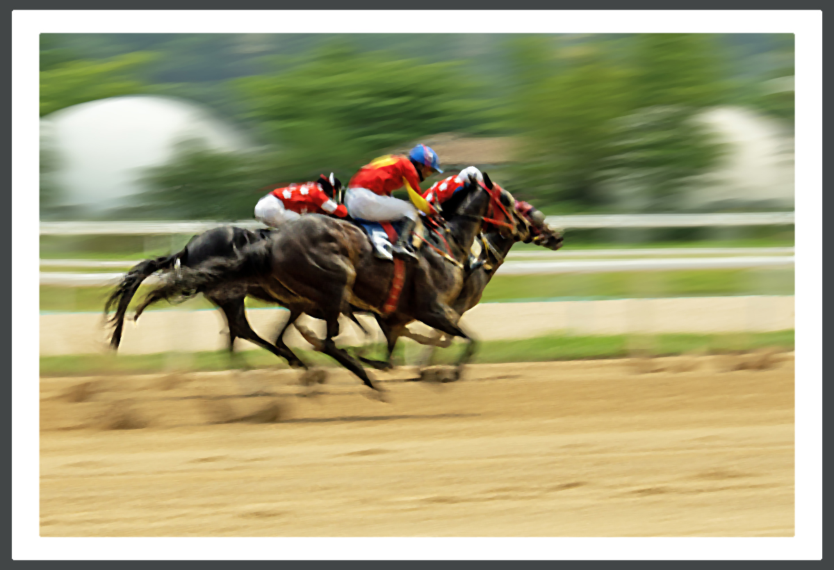 PHOTO BY  | ILCE-6500 | 2024:07:13 12:10:09 | ISO-100 | 1/50 sec | f 7.1 | 54.7 mm | EV=0 | ● WIDTH:1200 pixels  HEIGHT:820 pixels