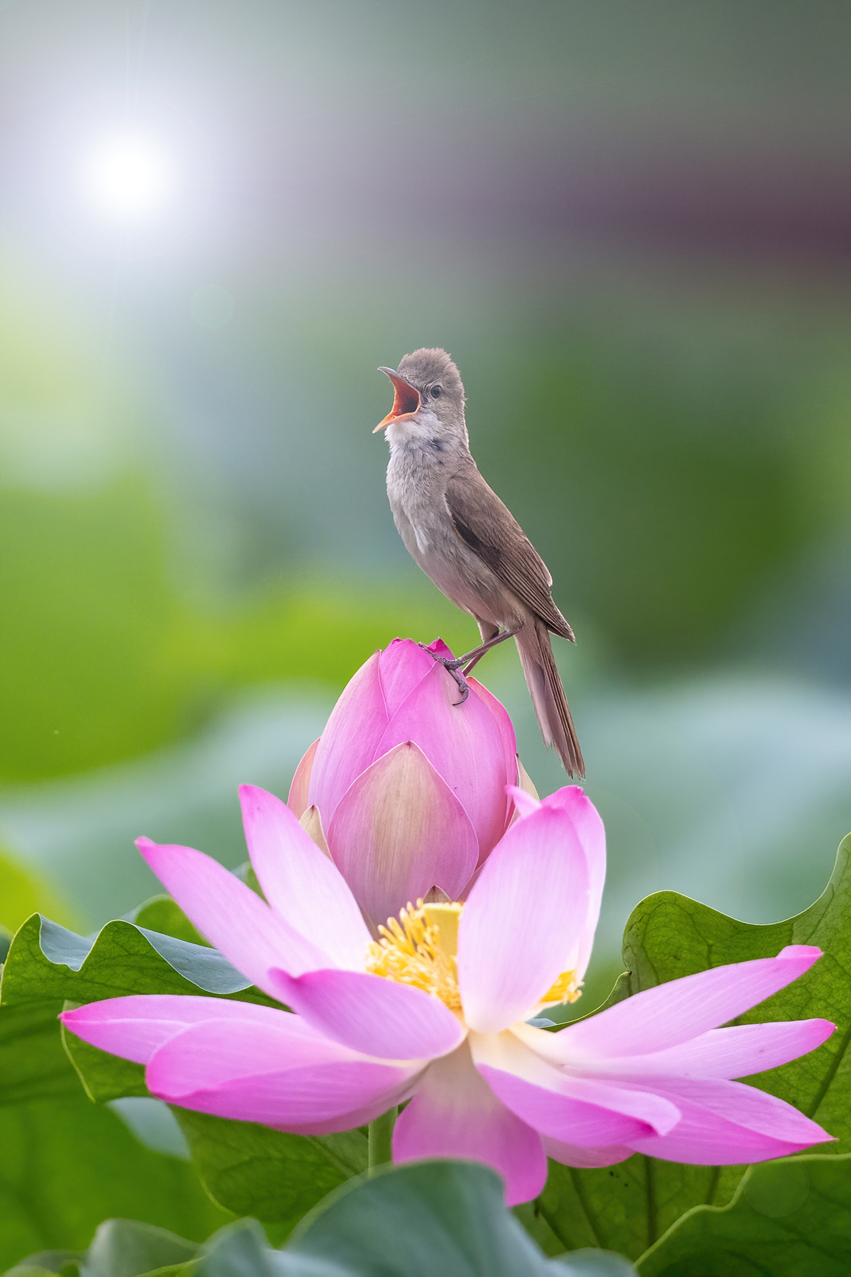 | PHOTO BY : 조현래  |