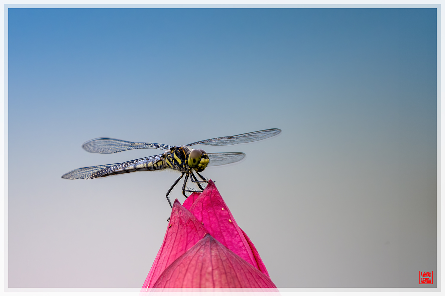 PHOTO BY  | NIKON Z 9 | 2024:07:09 13:11:50 | ISO-720 | 1/1600 sec | f 5.6 | 840 mm | EV=0 | ● WIDTH:1500 pixels  HEIGHT:999 pixels