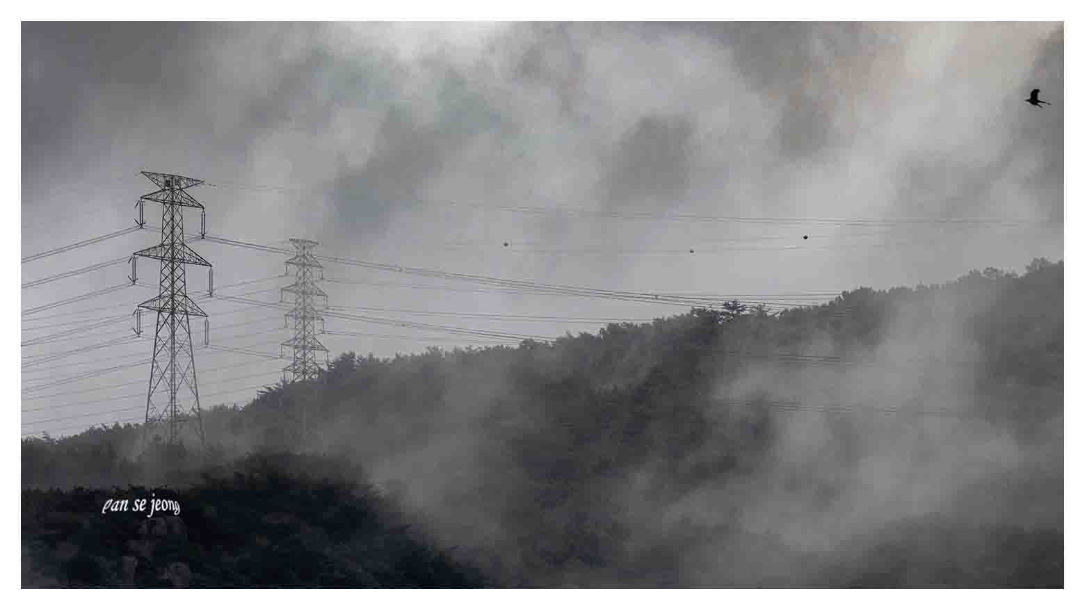 PHOTO BY jps | Canon EOS R6 | 2024:07:15 07:58:13 | ISO-100 | 1/250 sec | f 8 | 600 mm | EV=0 | ● WIDTH:1560 pixels  HEIGHT:877 pixels