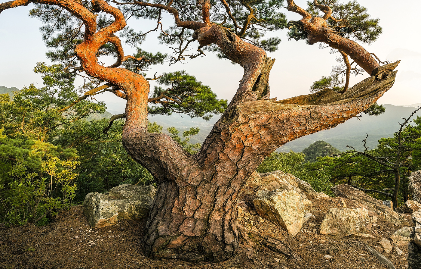 PHOTO BY MINKYUKIM | Canon EOS 5D Mark III | 2024:07:13 18:14:40 | ISO-200 | 1/40 sec | f 14 | 16 mm | EV=0 | ● WIDTH:1400 pixels  HEIGHT:893 pixels