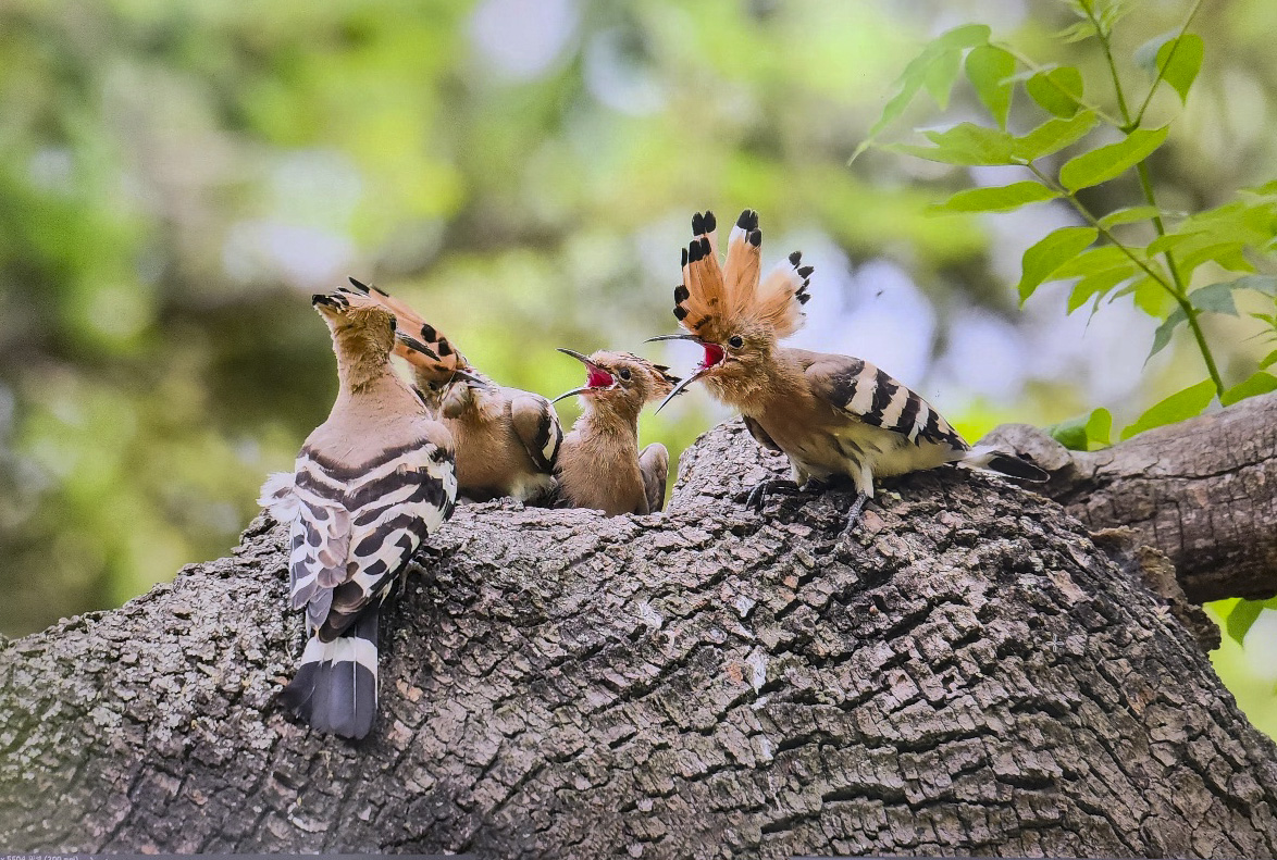 | PHOTO BY : 낙원/宣孝  |