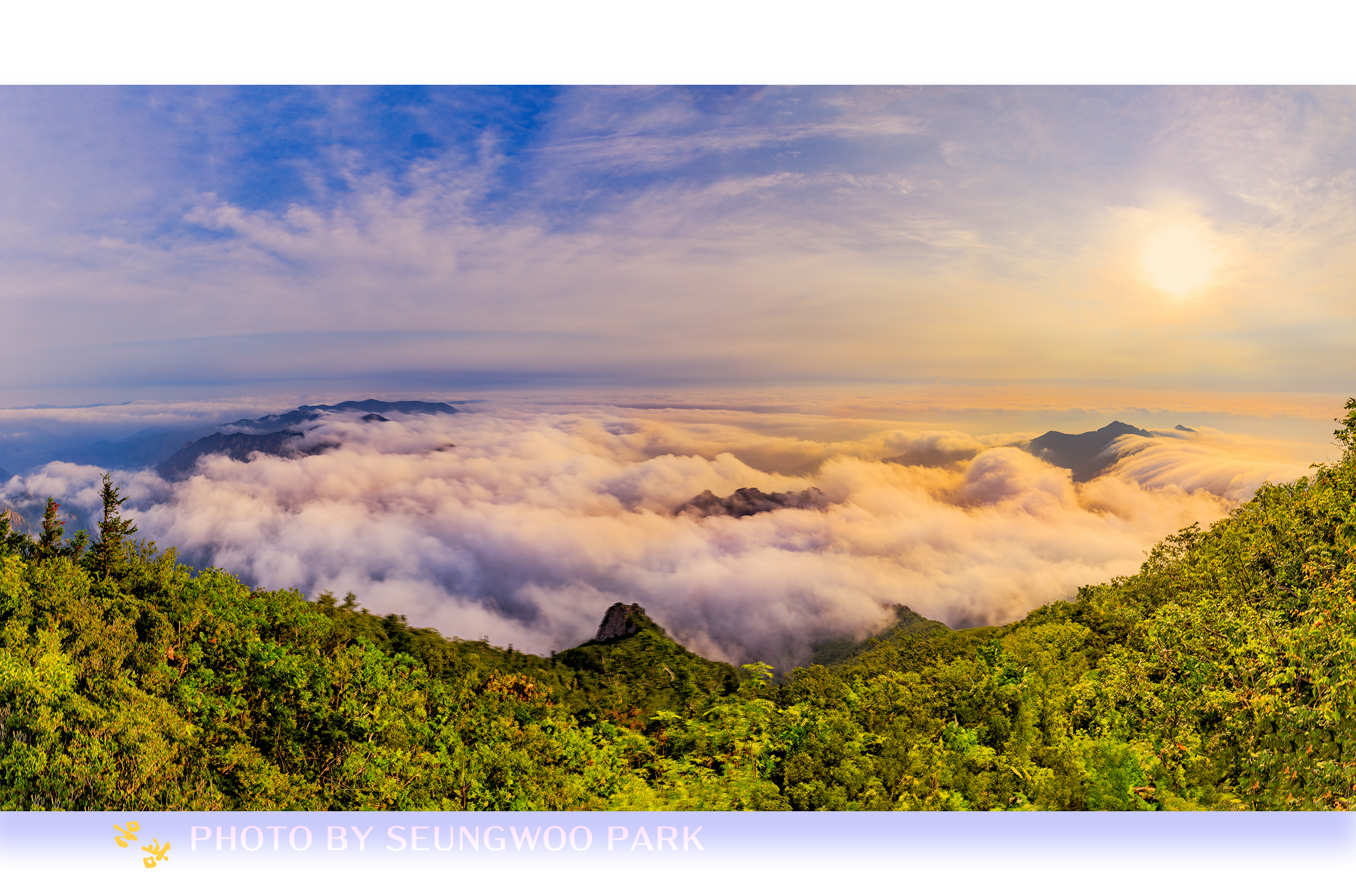 PHOTO BY PARK SEUNGWOO | Canon EOS 5D Mark IV | 2024:07:14 06:55:30 | ISO-160 | 1/10 sec | f 9 | 28 mm | EV=0 | ● WIDTH:2400 pixels  HEIGHT:1586 pixels