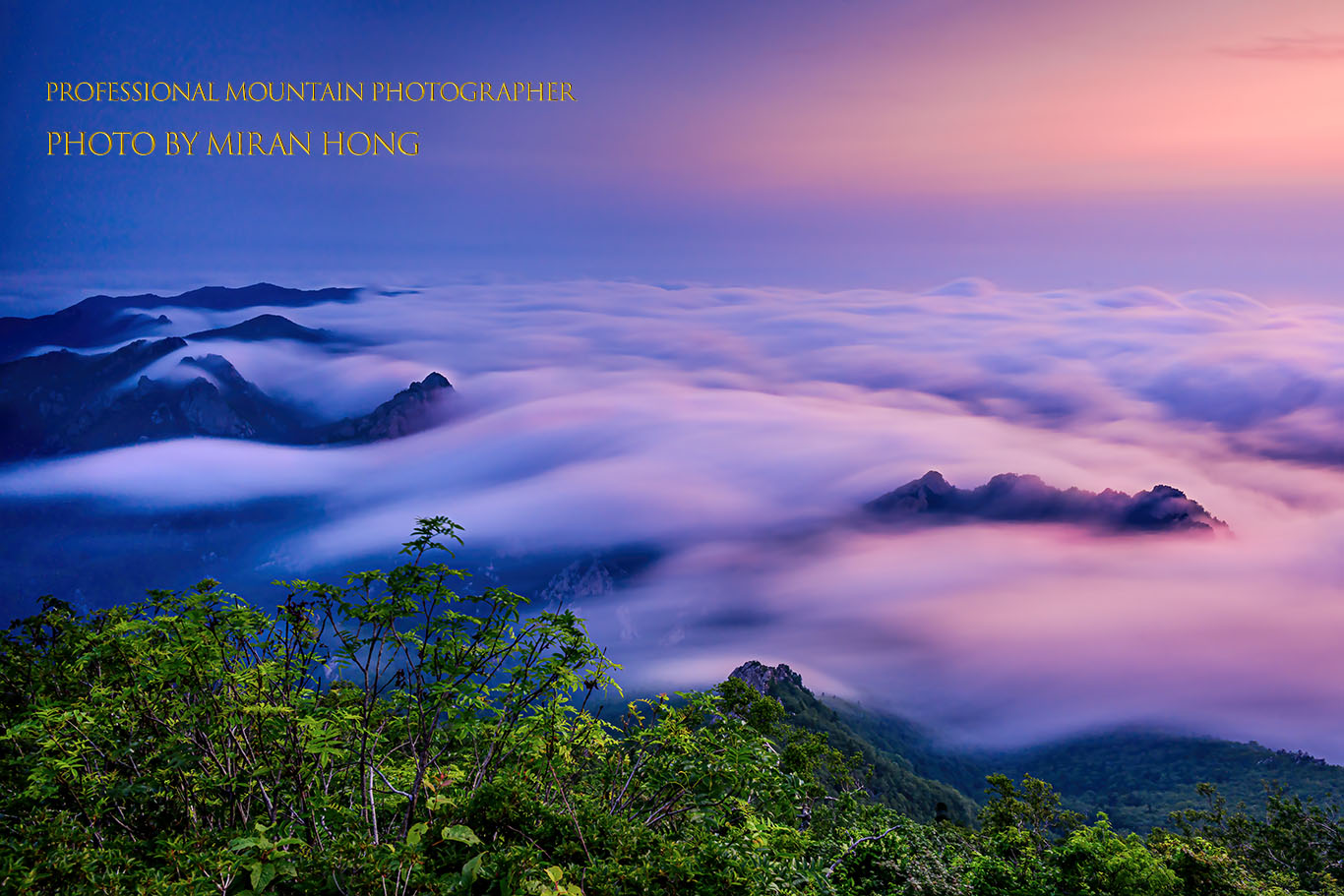 PHOTO BY HONG_MI_RAN | NIKON Z 8 | 2023:07:14 05:00:55 | ISO-100 | 60/1 sec | f 13 | 24 mm | EV=0 | ● WIDTH:1366 pixels  HEIGHT:911 pixels