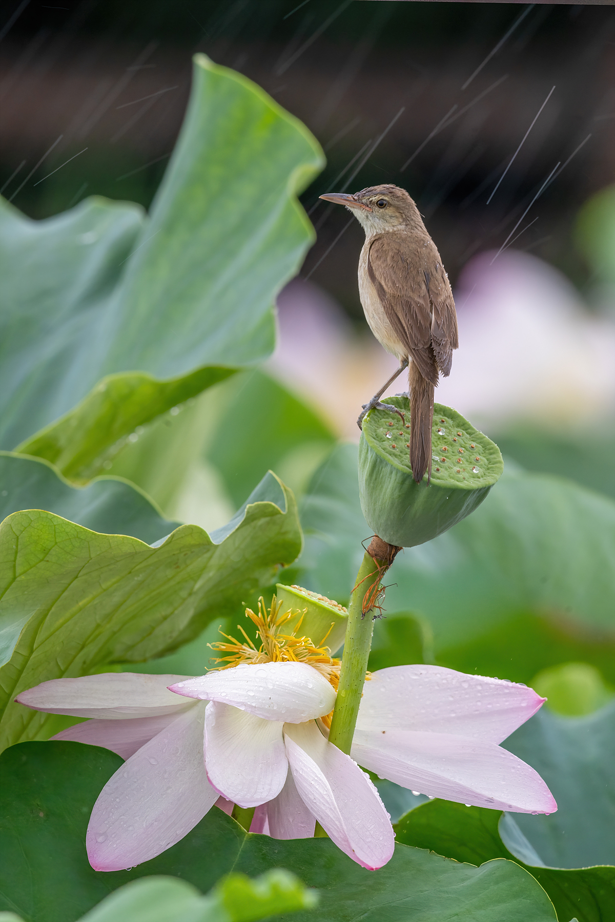   | PHOTO BY : 조현래  |