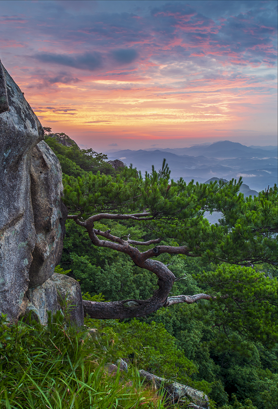 PHOTO BY  | NIKON D850 | 2024:07:14 05:05:14 | ISO-100 | 2/1 sec | f 11 | 35 mm | EV=-2.3 | ● WIDTH:900 pixels  HEIGHT:1327 pixels