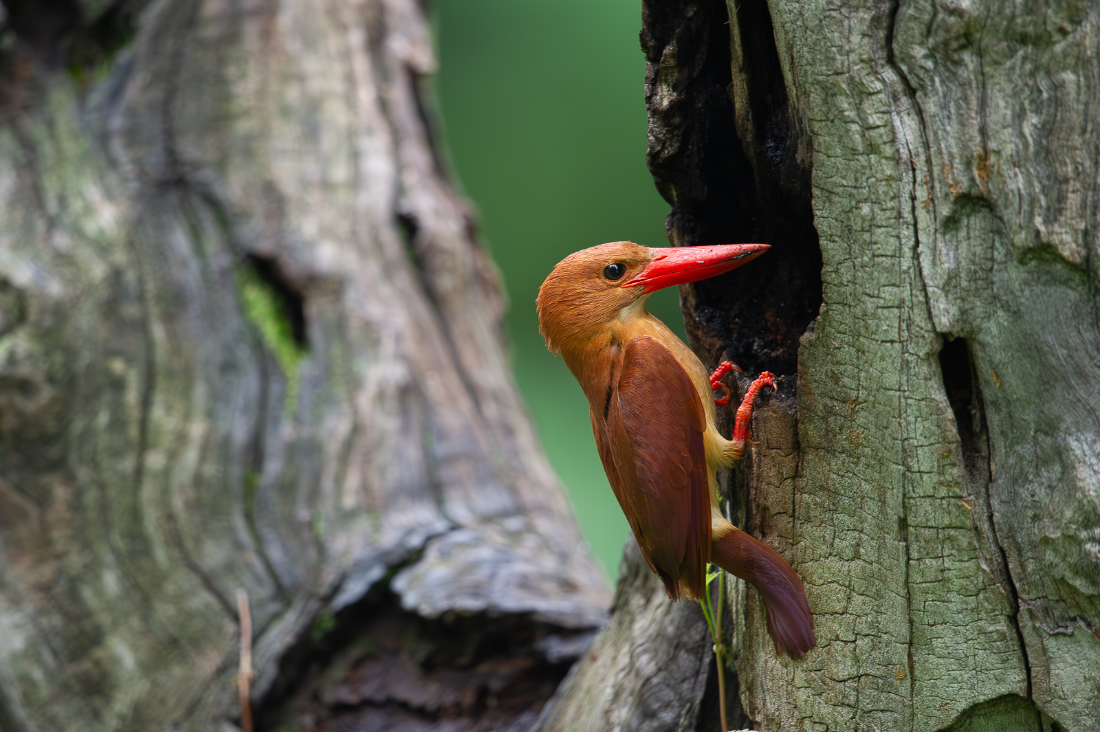 | PHOTO BY : 光陽/김덕수  |