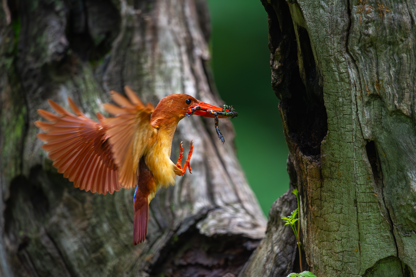 | PHOTO BY : 光陽/김덕수  |