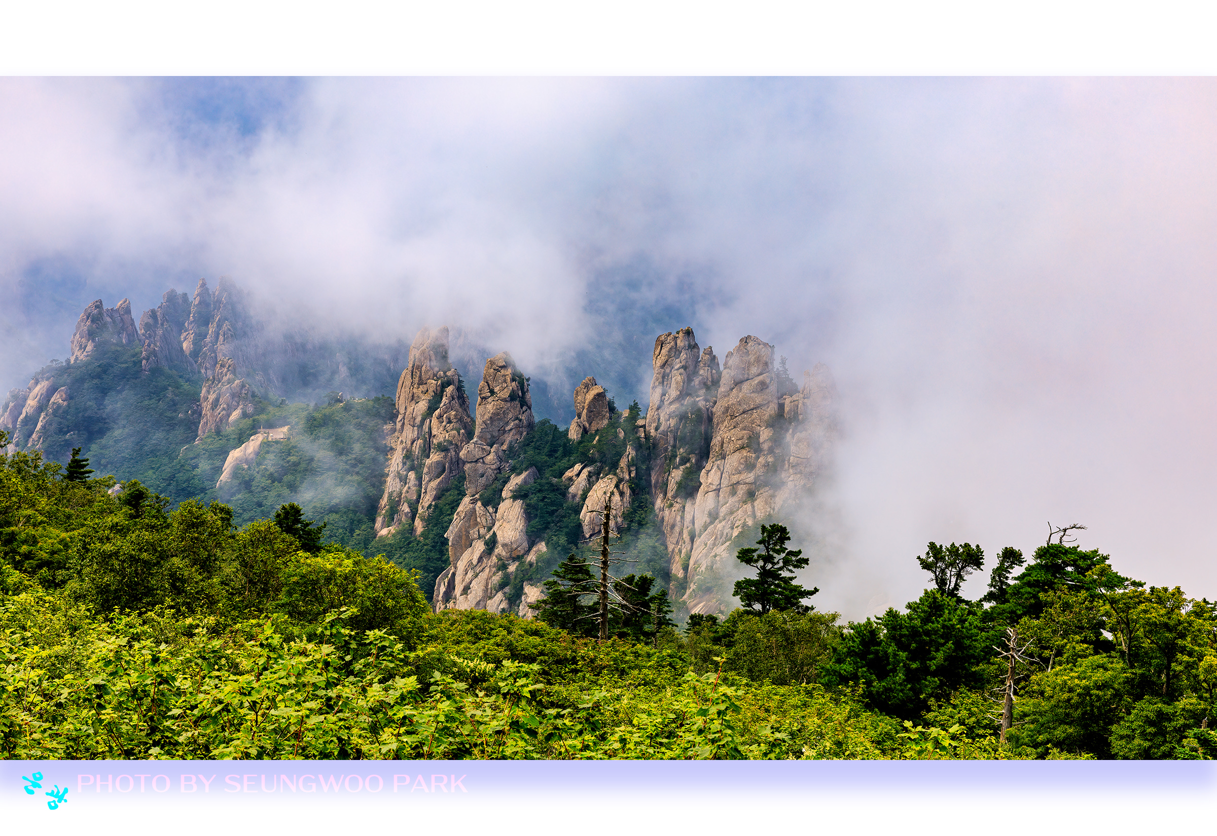 PHOTO BY PARK SEUNGWOO | Canon EOS 5D Mark IV | 2024:07:13 14:21:40 | ISO-100 | 1/320 sec | f 11 | 55 mm | EV=0 | ● WIDTH:2400 pixels  HEIGHT:1650 pixels