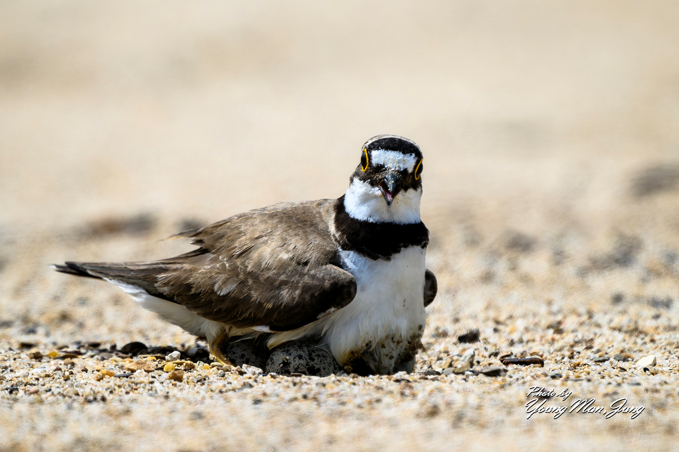   | PHOTO BY : 카파/정영만  |