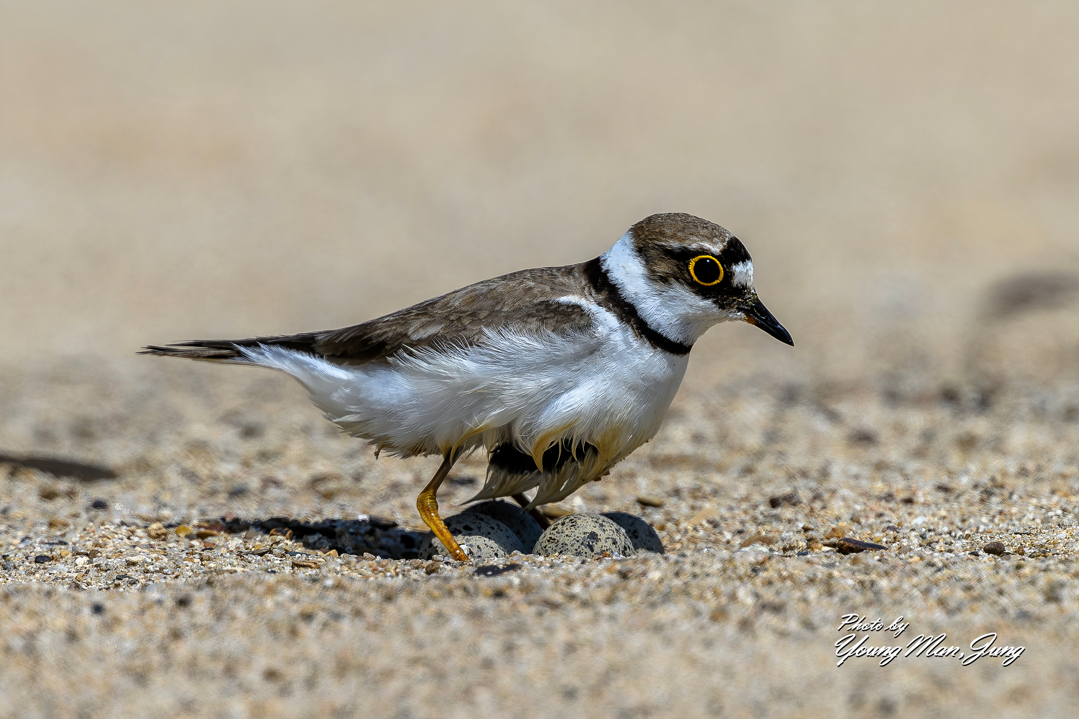   | PHOTO BY : 카파/정영만  |