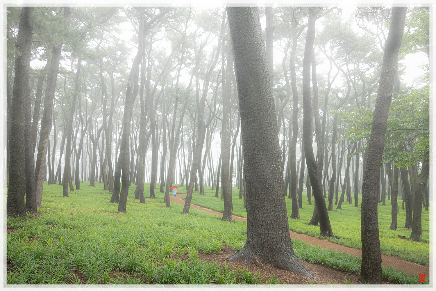 PHOTO BY  | NIKON D850 | 2024:07:16 13:06:50 | ISO-500 | 1/125 sec | f 10 | 28 mm | EV=0.7 | ● WIDTH:1500 pixels  HEIGHT:1000 pixels