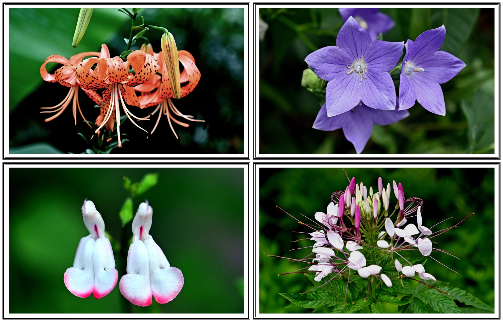   | PHOTO BY : 청산이종원  |