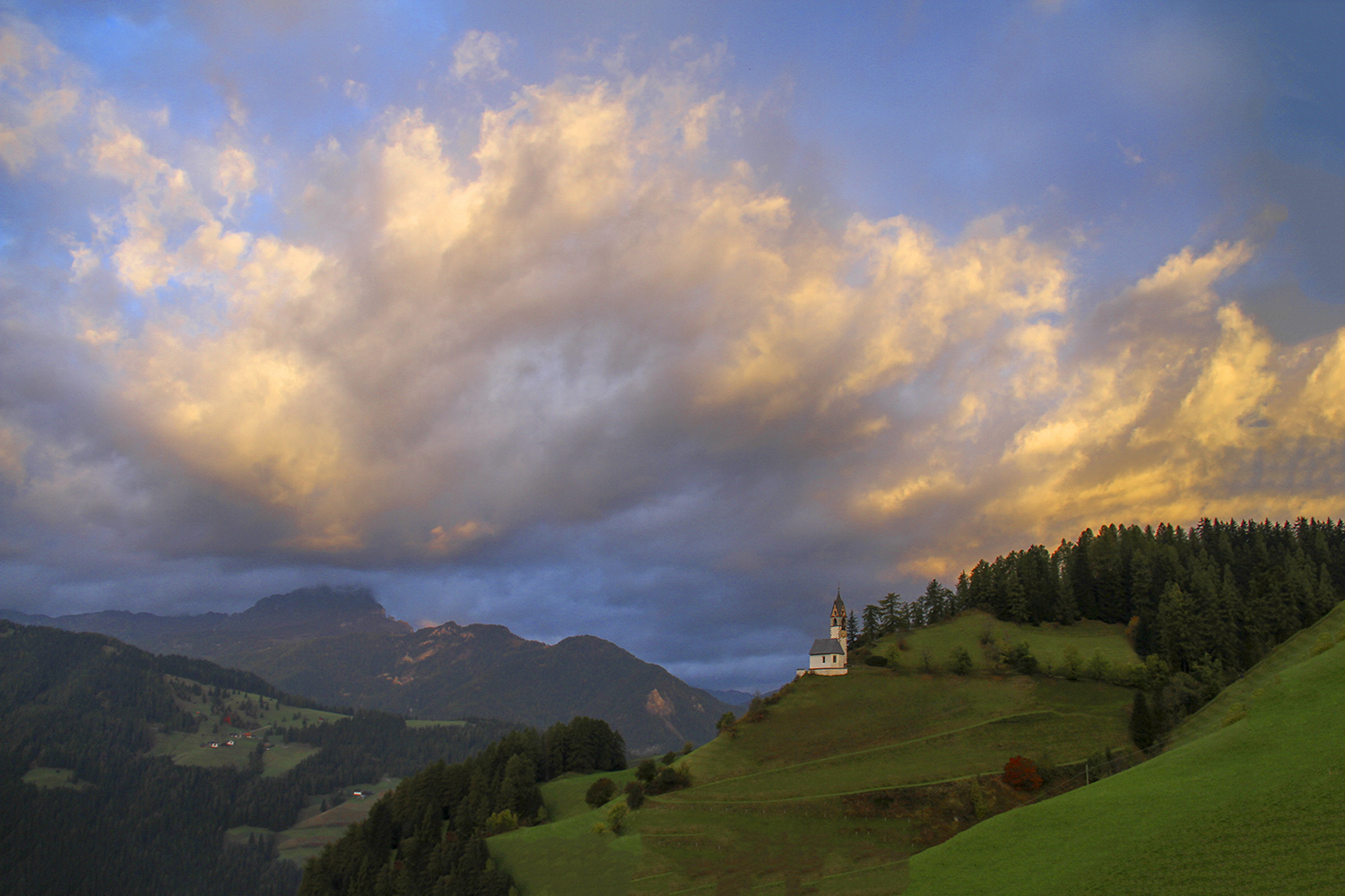 PHOTO BY  | Can |  | ISO- |  |  |  | EV=0 | ● WIDTH:  HEIGHT: