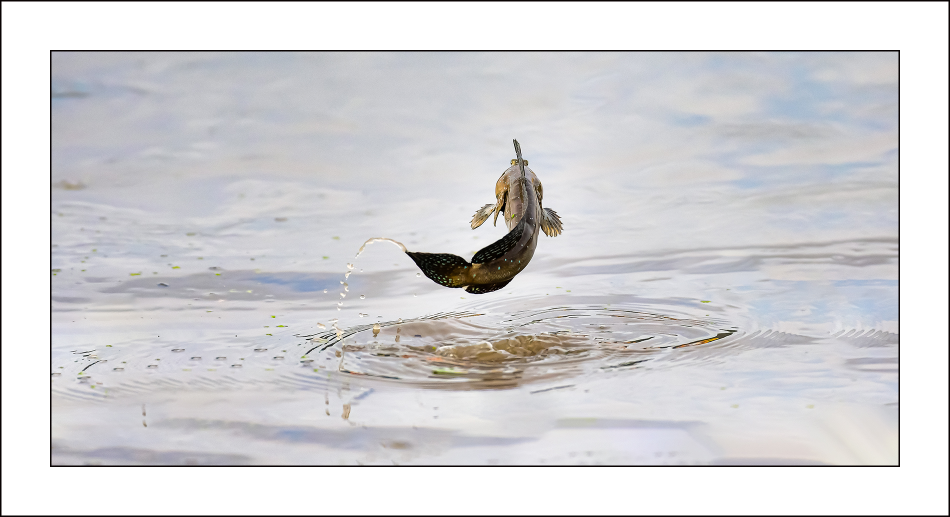 | PHOTO BY : Photo No Data |