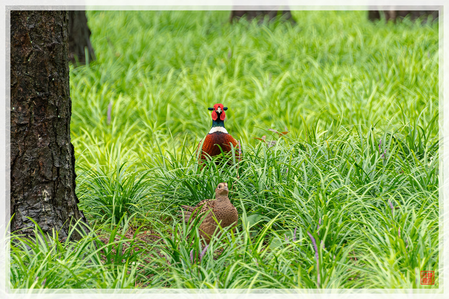 PHOTO BY  | NIKON D850 | 2024:07:16 10:44:41 | ISO-1250 | 1/1000 sec | f 5.6 | 300 mm | EV=0.3 | ● WIDTH:1500 pixels  HEIGHT:999 pixels