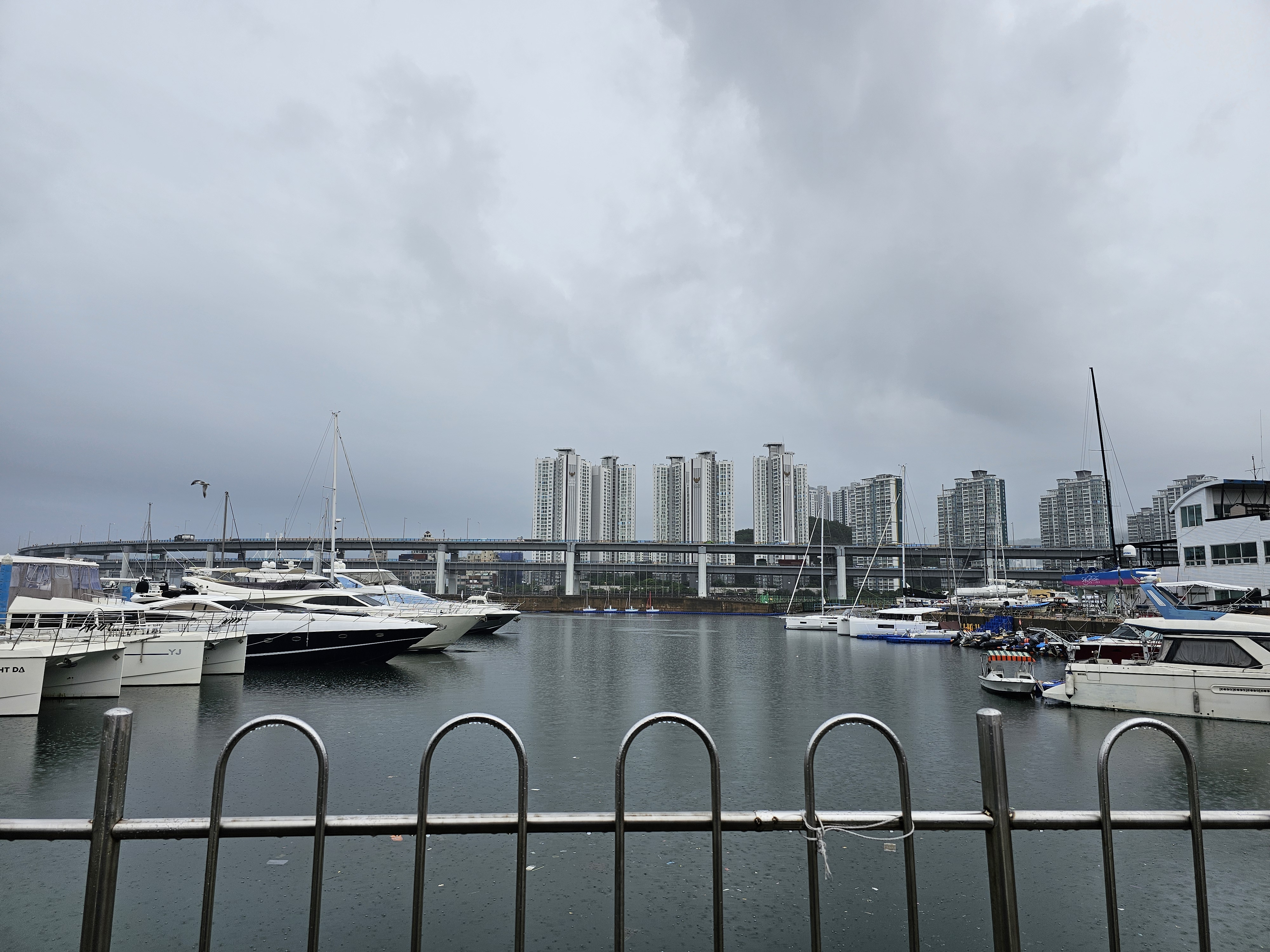 PHOTO BY  | Galaxy S23 Ultra | 2024:07:16 13:46:36 | ISO-10 | 1/279 sec | f 1.7 | 6.3 mm | EV=0 | ● WIDTH:4000 pixels  HEIGHT:3000 pixels