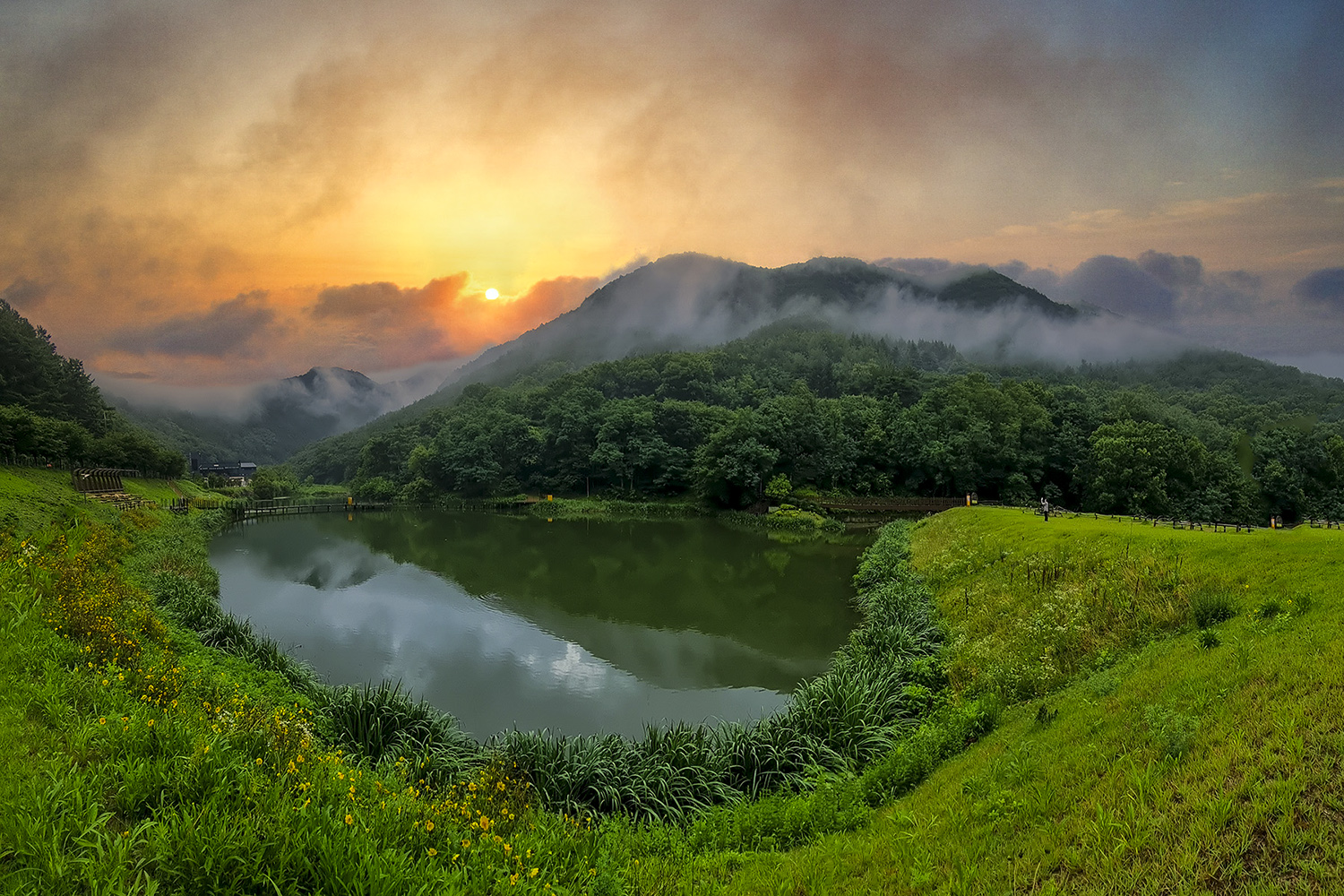 PHOTO BY  | SM-G998N | 2024:07:16 07:13:03 | ISO- |  |  | 2.2 mm | EV=0 | ● WIDTH:1500 pixels  HEIGHT:1000 pixels