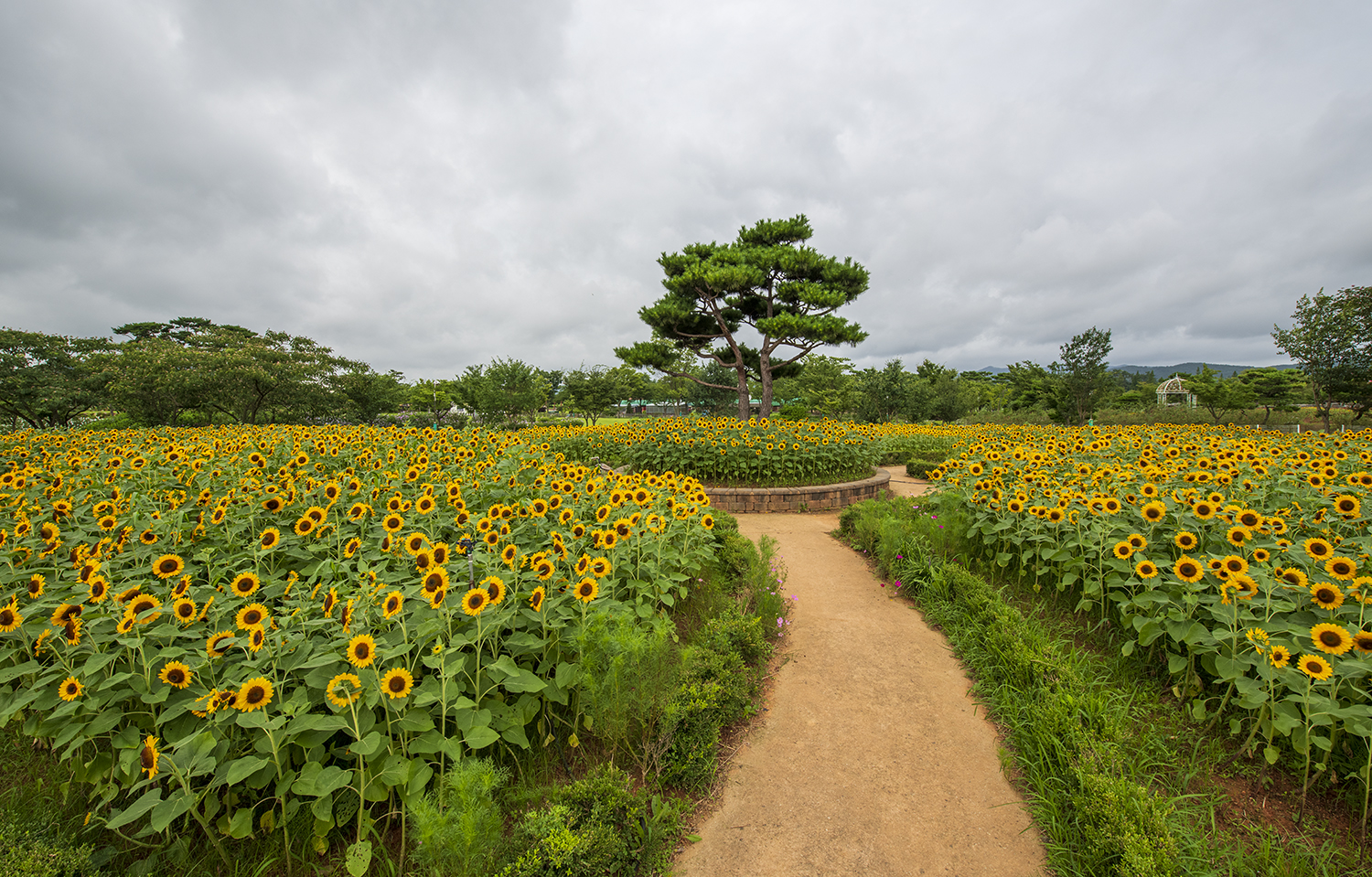 PHOTO BY  | KON CORPORA |  | ISO- |  |  |  | EV=0 | ● WIDTH:  HEIGHT: