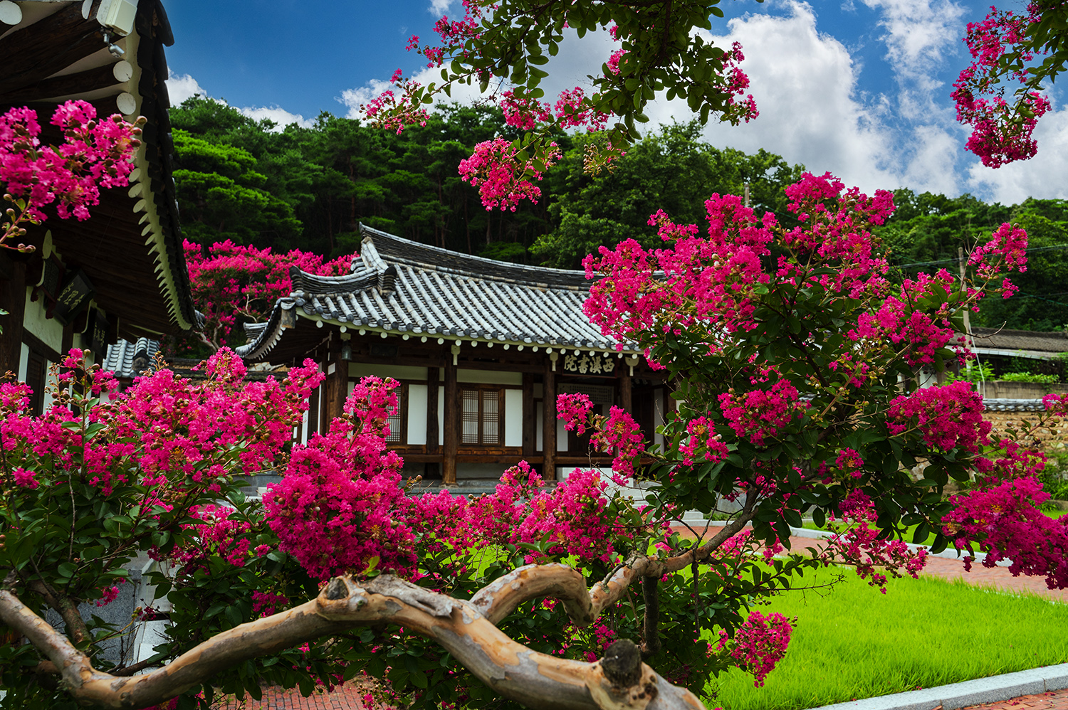 PHOTO BY  | NIKON Z 6_2 | 2024:07:18 11:07:07 | ISO-200 | 1/40 sec | f 9 | 28 mm | EV=0 | ● WIDTH:1500 pixels  HEIGHT:998 pixels