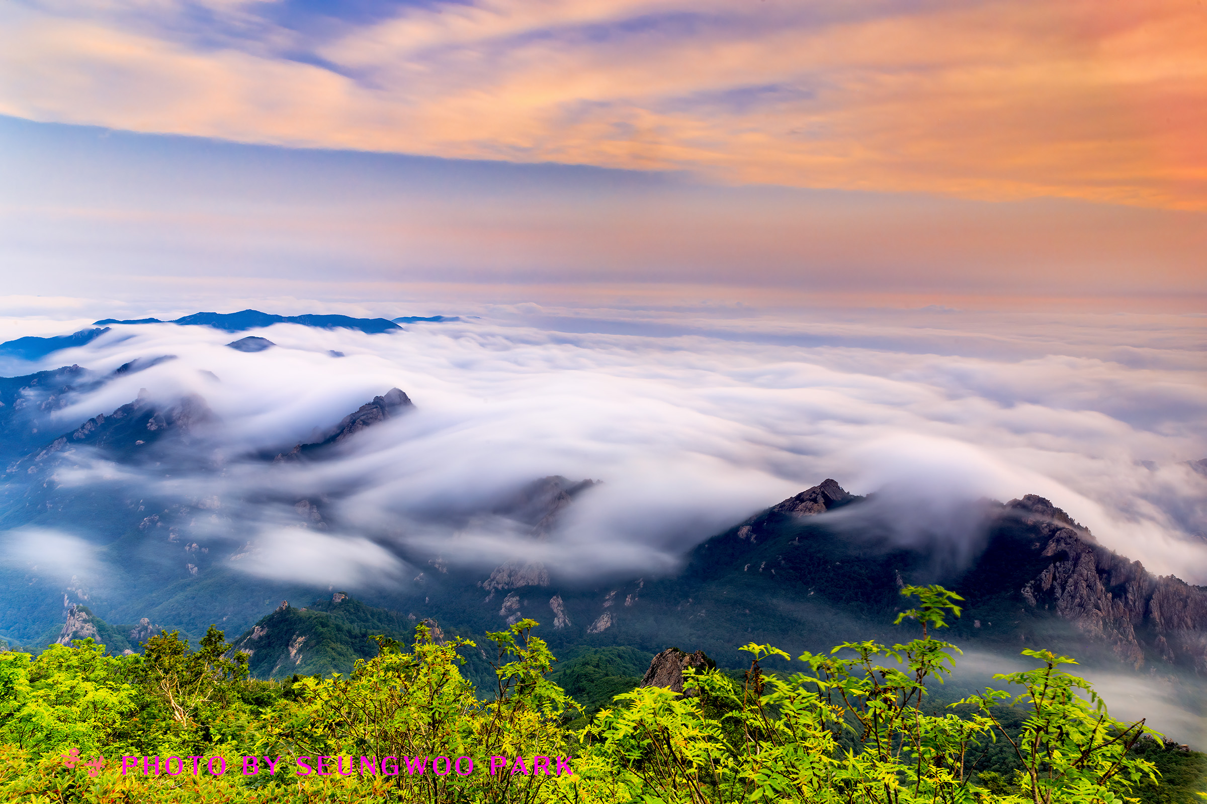 PHOTO BY PARK SEUNGWOO | Canon EOS 5D Mark IV | 2024:07:14 06:10:50 | ISO-100 | 25/1 sec | f 18 | 24 mm | EV=0 | ● WIDTH:2400 pixels  HEIGHT:1600 pixels