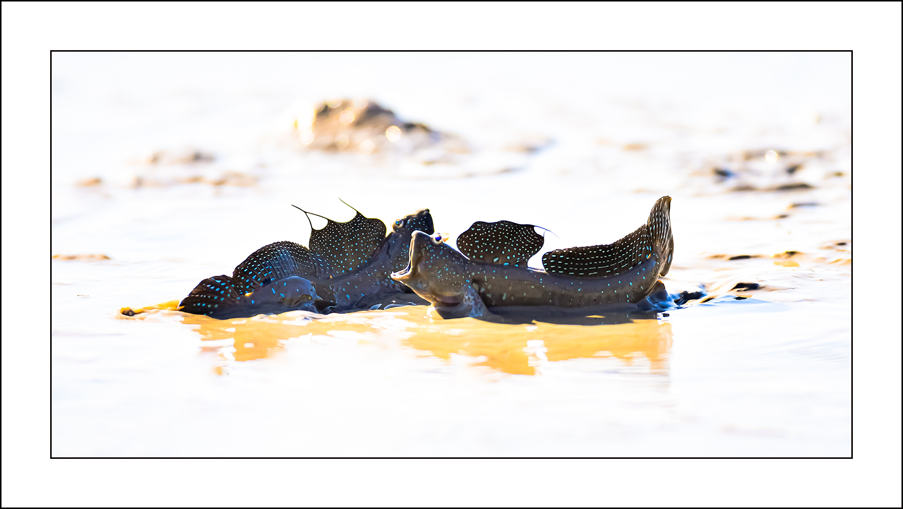   | PHOTO BY : 삿갓/정봉식  |