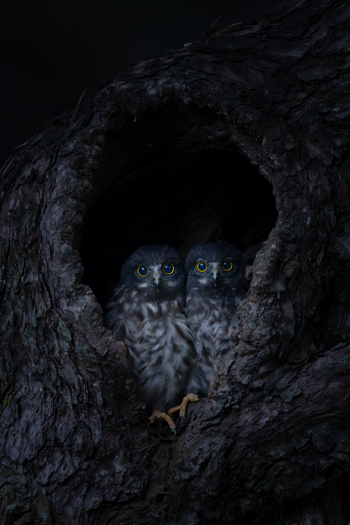   | PHOTO BY : 조현래  |