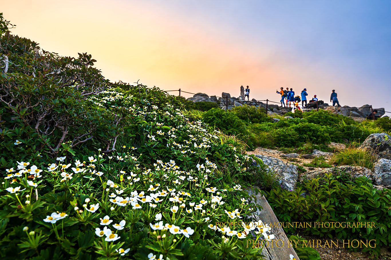 PHOTO BY HONG_MI_RAN | NIKON Z 8 | 2023:07:13 06:00:49 | ISO-100 | 1/250 sec | f 8 | 24 mm | EV=0 | ● WIDTH:1366 pixels  HEIGHT:911 pixels