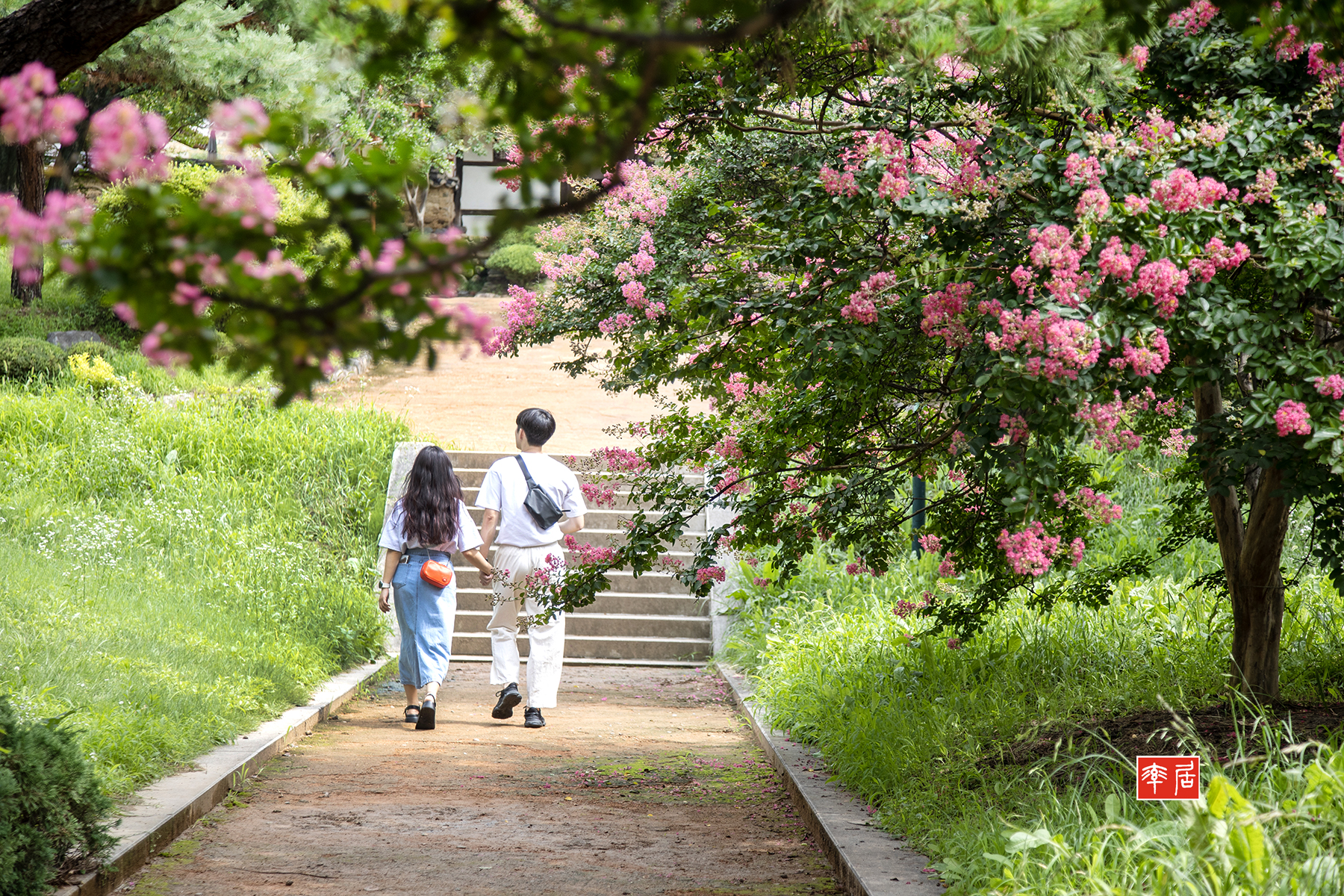 PHOTO BY changickheun | Canon EOS-1D X Mark III | 2024:07:20 10:12:06 | ISO-200 | 1/320 sec | f 4 | 80 mm | EV=0 | ● WIDTH:1800 pixels  HEIGHT:1200 pixels