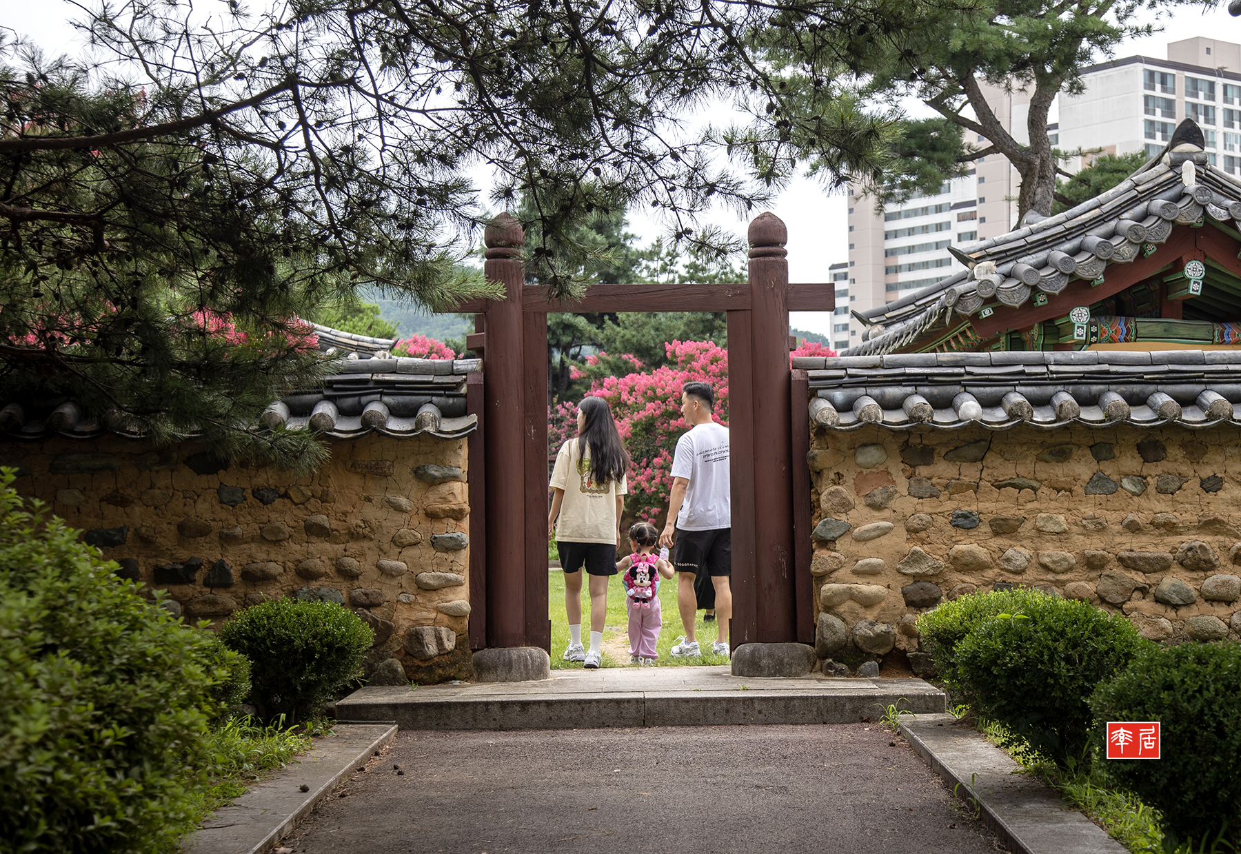 PHOTO BY changickheun | Canon EOS-1D X Mark III | 2024:07:20 10:17:36 | ISO-100 | 1/250 sec | f 5.6 | 55 mm | EV=0 | ● WIDTH:1800 pixels  HEIGHT:1239 pixels