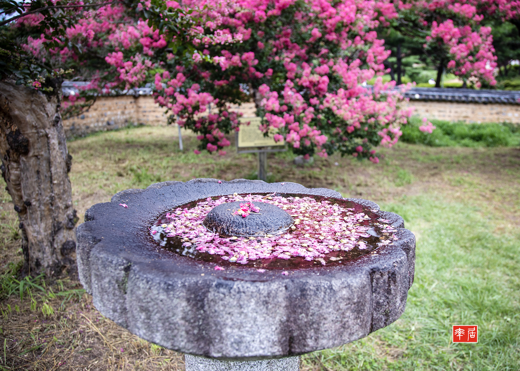 PHOTO BY changickheun | Canon EOS-1D X Mark III | 2024:07:20 10:24:06 | ISO-100 | 1/320 sec | f 4 | 24 mm | EV=0 | ● WIDTH:1800 pixels  HEIGHT:1283 pixels