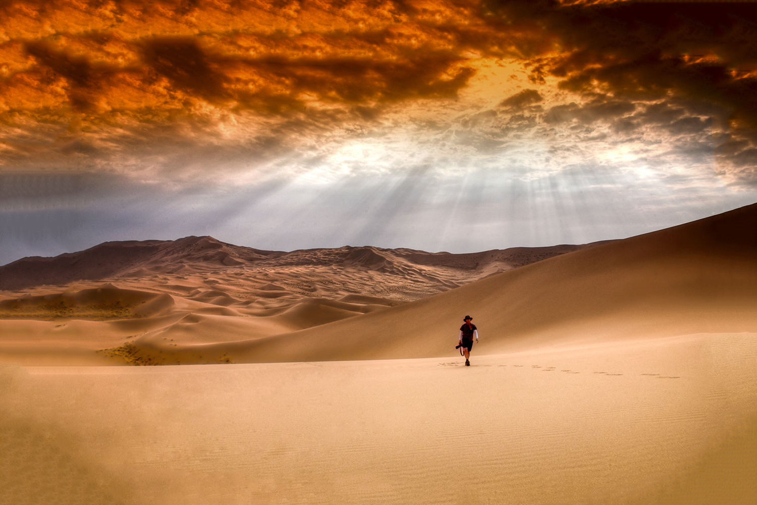 PHOTO BY  |  |  | ISO- |  |  |  | EV=0 | ● WIDTH:  HEIGHT: