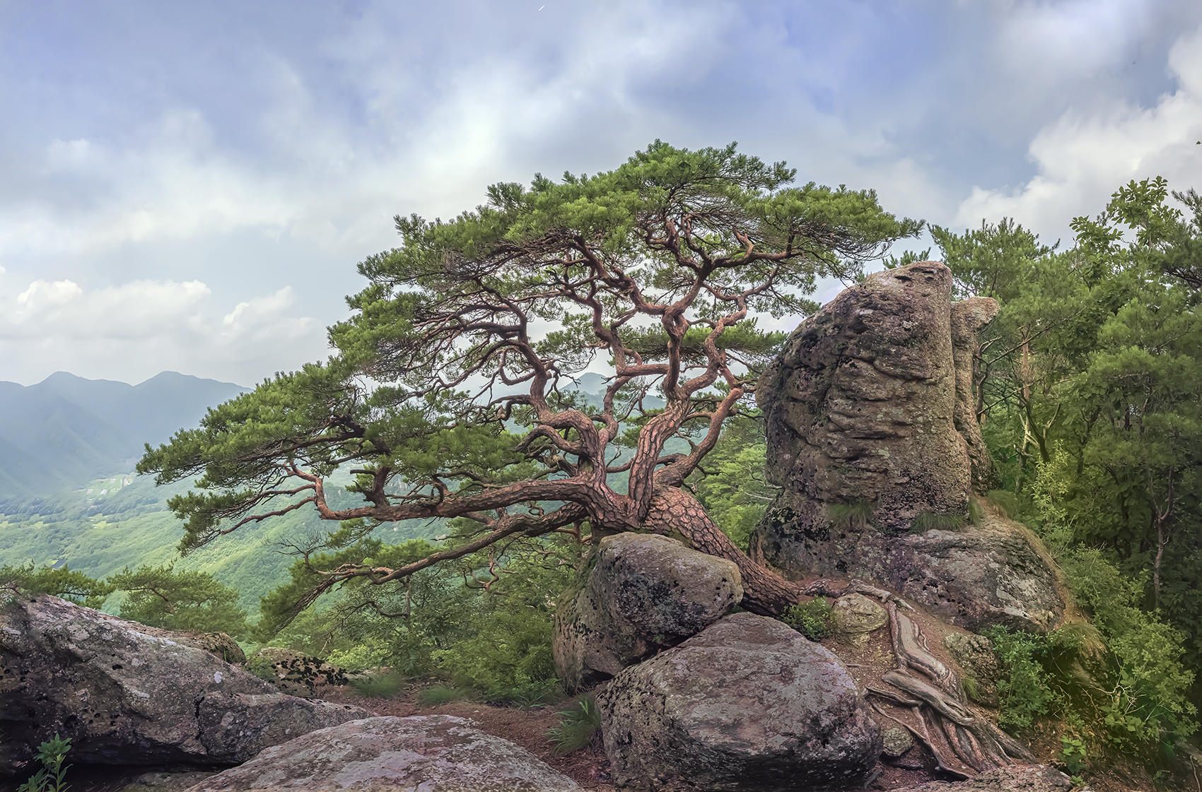 PHOTO BY  | NIKON Z 7_2 | 2024:07:12 12:23:22 | ISO-200 | 1/200 sec | f 11 | 14 mm | EV=0 | ● WIDTH:1700 pixels  HEIGHT:1121 pixels