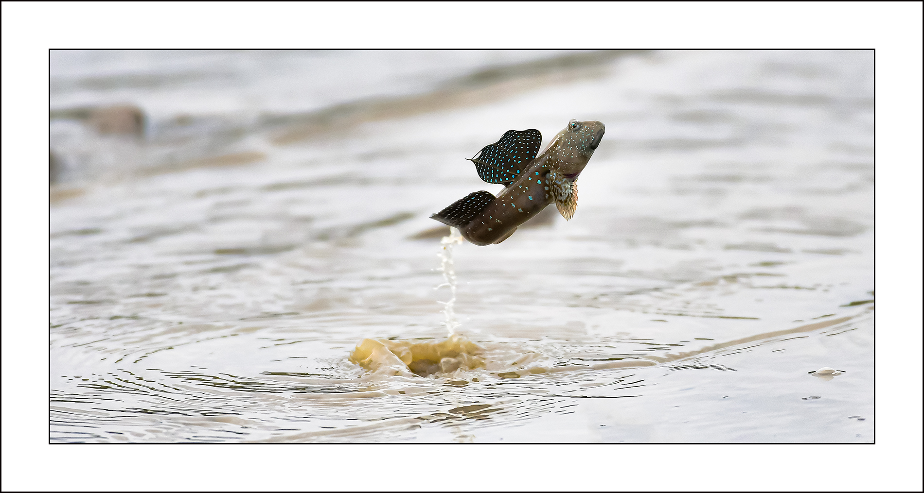   | PHOTO BY : qhdtlr723 No Data |