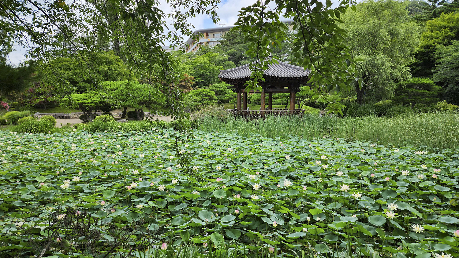   | PHOTO BY : 낙원/宣孝  |