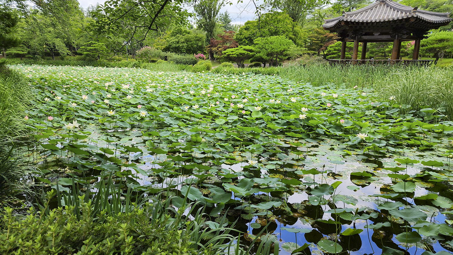   | PHOTO BY : 낙원/宣孝  |