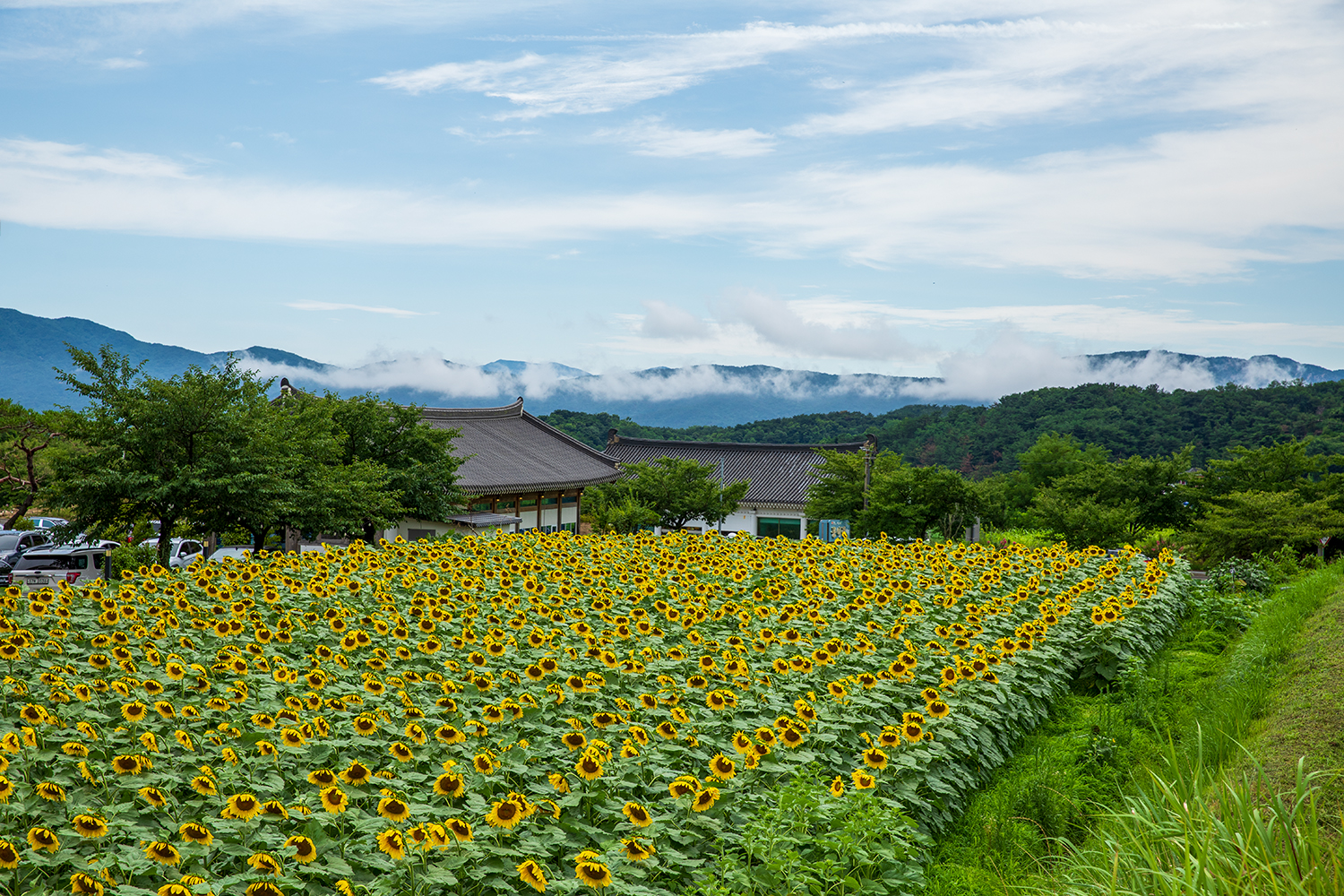 PHOTO BY  | Canon EOS 5D Mark IV | 2024:07:20 14:26:22 | ISO-200 | 1/400 sec | f 8 | 59 mm | EV=0 | ● WIDTH:1500 pixels  HEIGHT:1000 pixels