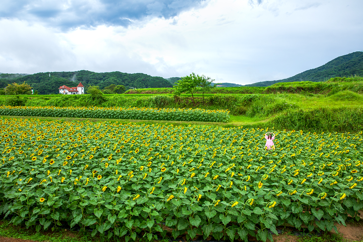 PHOTO BY  | Canon EOS 5D Mark IV | 2024:07:20 13:55:03 | ISO-320 | 1/250 sec | f 8 | 24 mm | EV=0 | ● WIDTH:1500 pixels  HEIGHT:1000 pixels