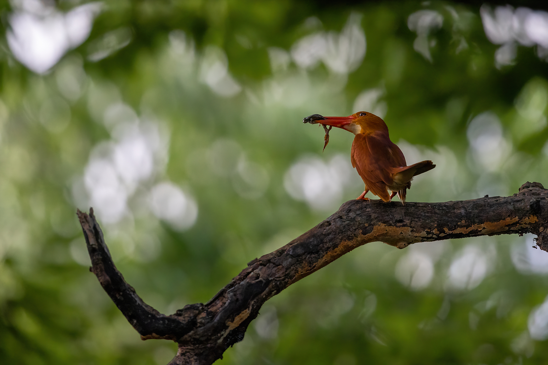   | PHOTO BY : 조현래  |