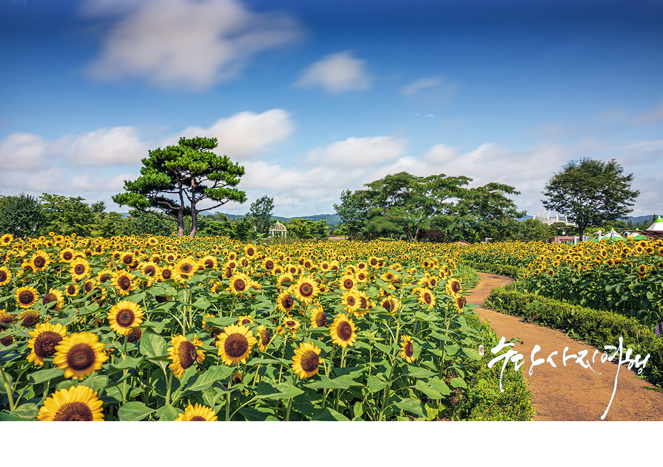   | PHOTO BY : 수당/박상돈  |