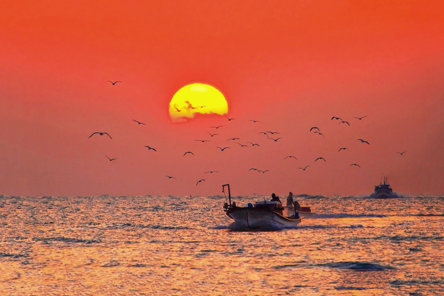 PHOTO BY  | CanonCanon  |  | ISO- |  |  |  | EV=0 | ● WIDTH:  HEIGHT: