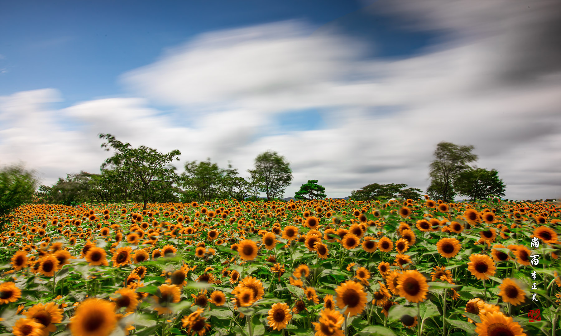 PHOTO BY  | Canon EOS 5D Mark IV | 2024:07:20 14:19:38 | ISO-50 | 30/1 sec | f 20 | 21 mm | EV=0 | ● WIDTH:1800 pixels  HEIGHT:1078 pixels