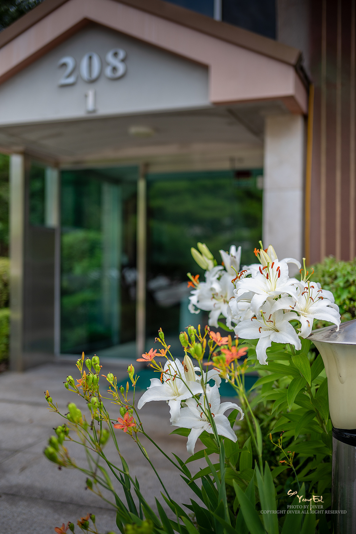 PHOTO BY  | NIKON Z f | 2024:07:21 16:49:39 | ISO-100 | 1/1000 sec | f 2 | 40 mm | EV=0 | ● WIDTH:1200 pixels  HEIGHT:1800 pixels