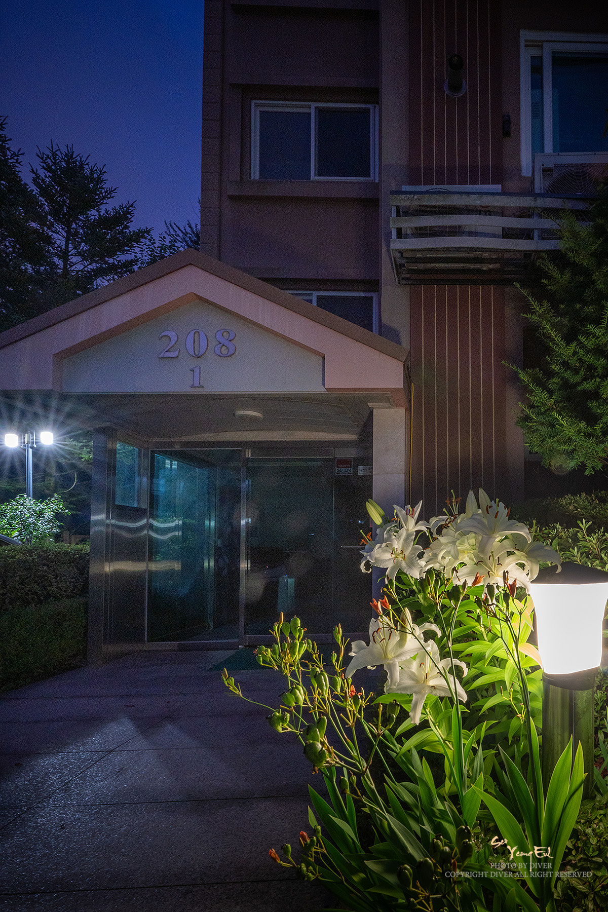 PHOTO BY  | NIKON Z f | 2024:07:21 20:18:54 | ISO-1000 | 2/1 sec | f 22 | 18.5 mm | EV=0 | ● WIDTH:1200 pixels  HEIGHT:1800 pixels